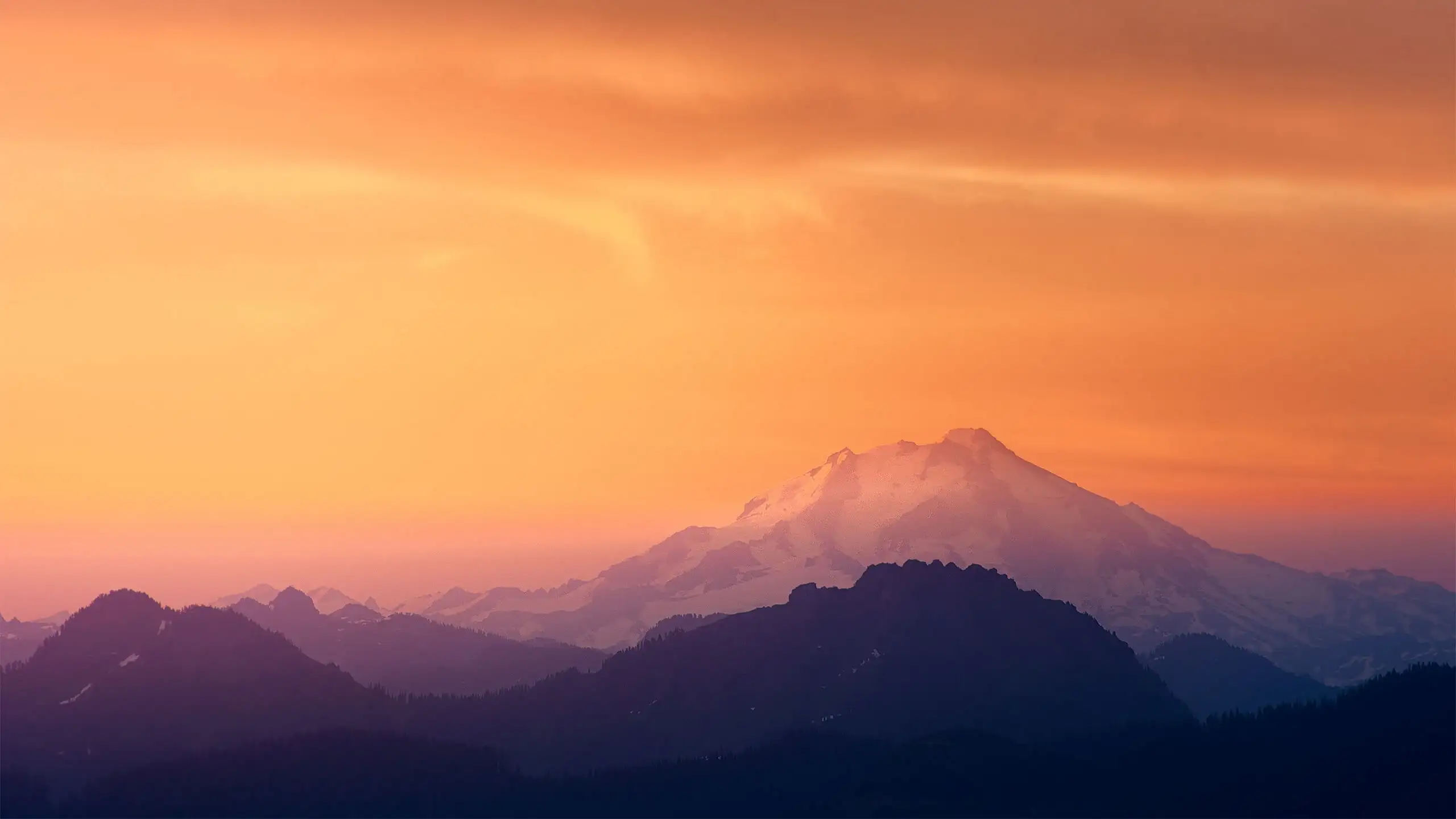 Attribution For Will Christiansen Background Image(s) Link Is Broken · Issue · Brave Brave Browser