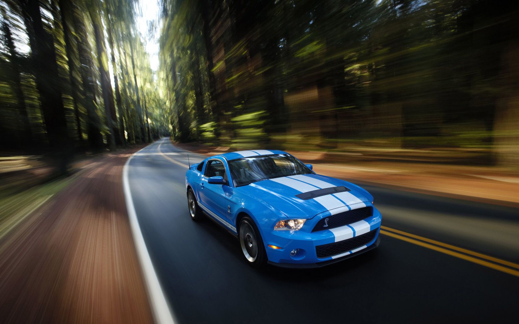 Ford Mustang, Shelby GT Convertible Widescreen Wallpaper / Desktop Background Picture