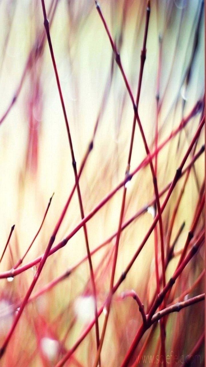 Wallpaper Samsung Galaxy A5 720 1280 Awesome Hi Quality