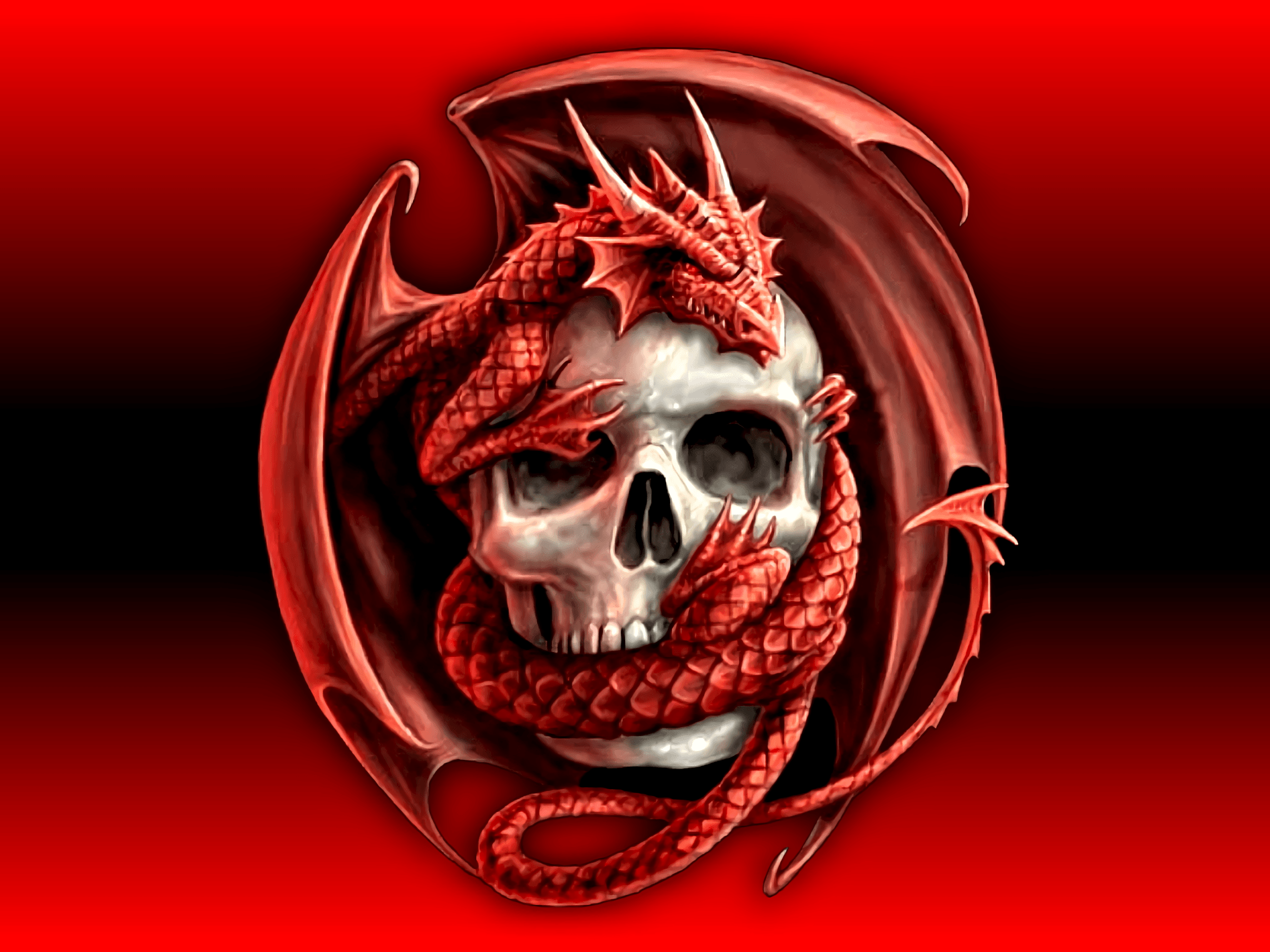 Skull HD Wallpaper and Background Image