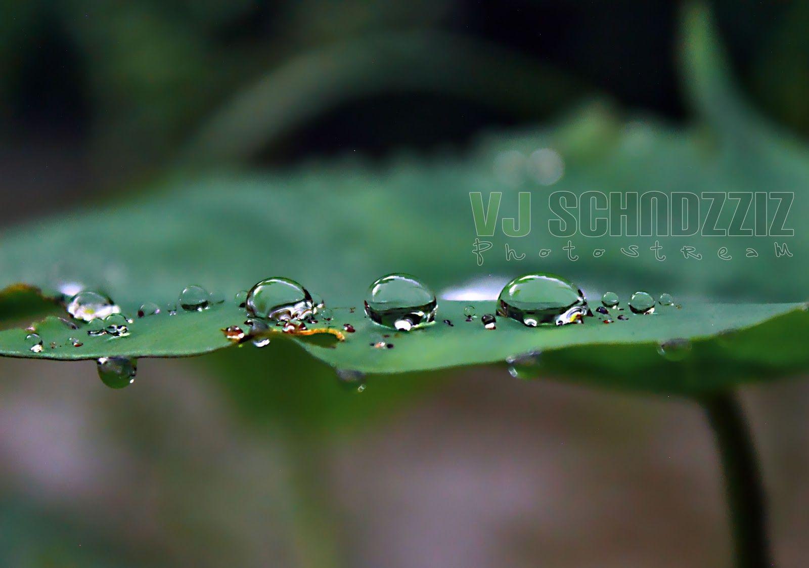 Free Download HD Wallpaper 2018 WALLPAPER HD 2018