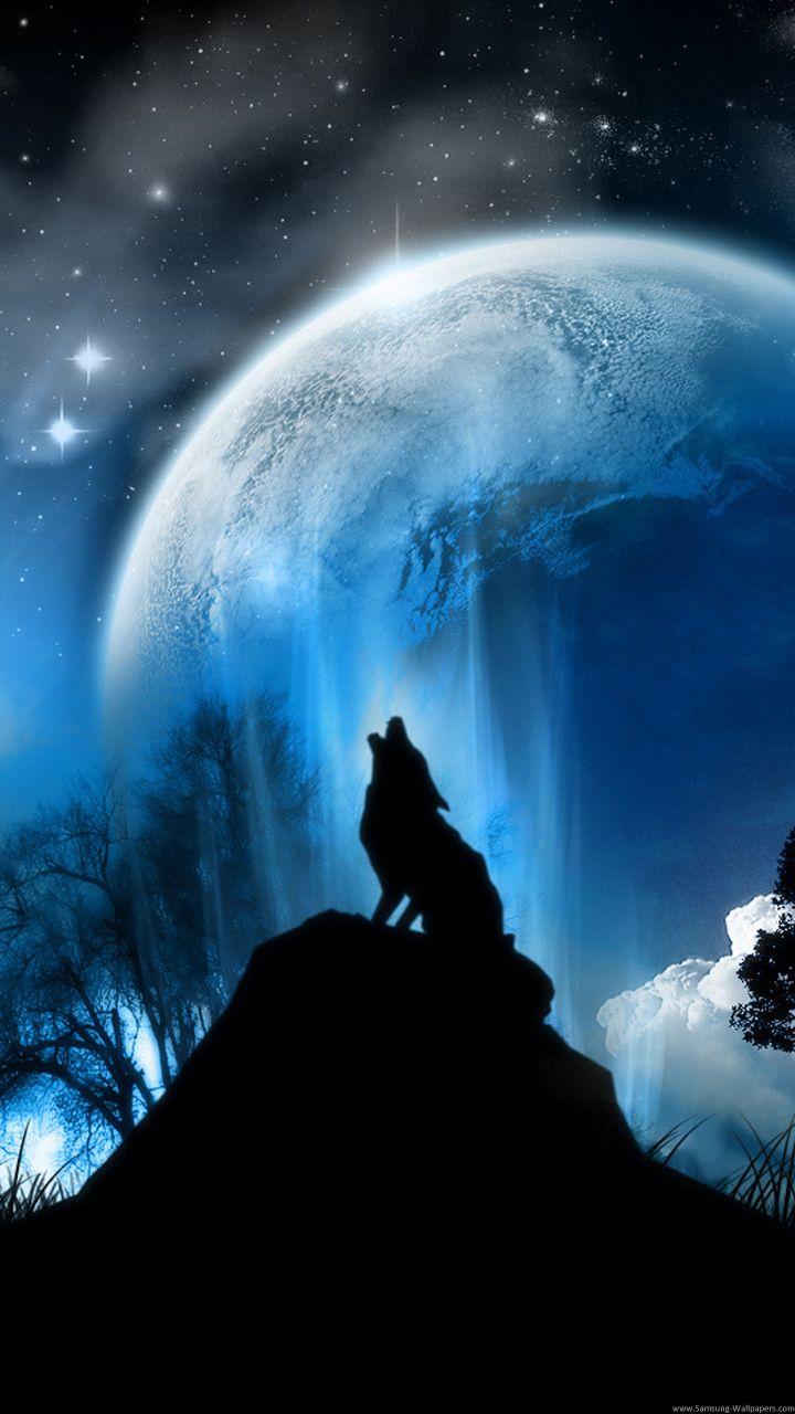 Galaxy Wolf Wallpapers - Wallpaper Cave