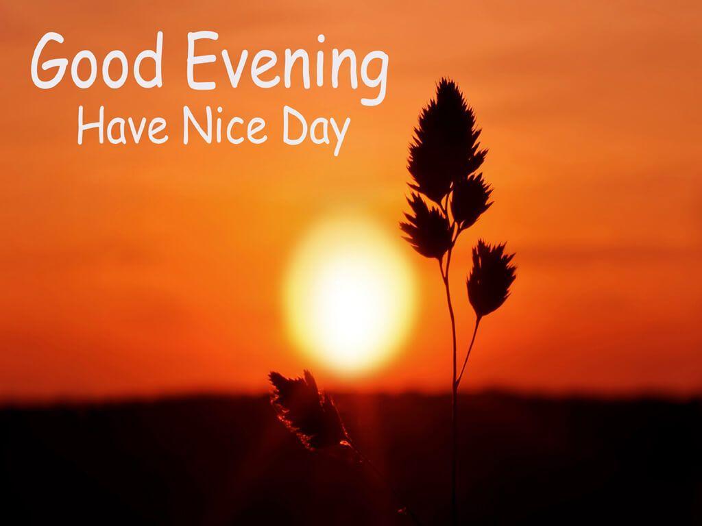 Good Evening Wallpapers Wallpaper Cave