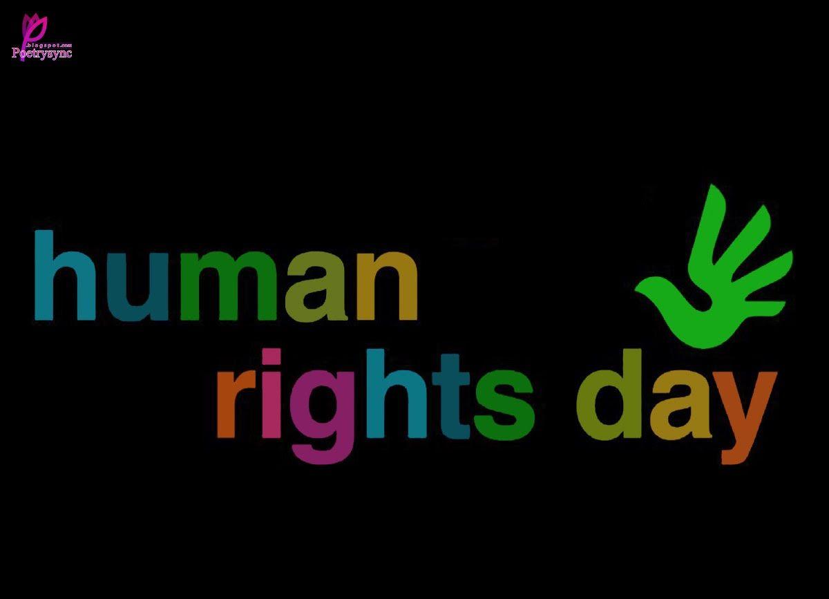Human Rights Day Wallpaper HD Download