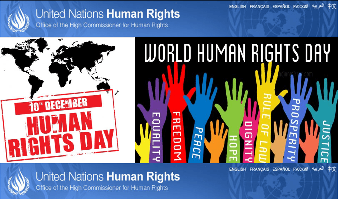 human rights day Gallery