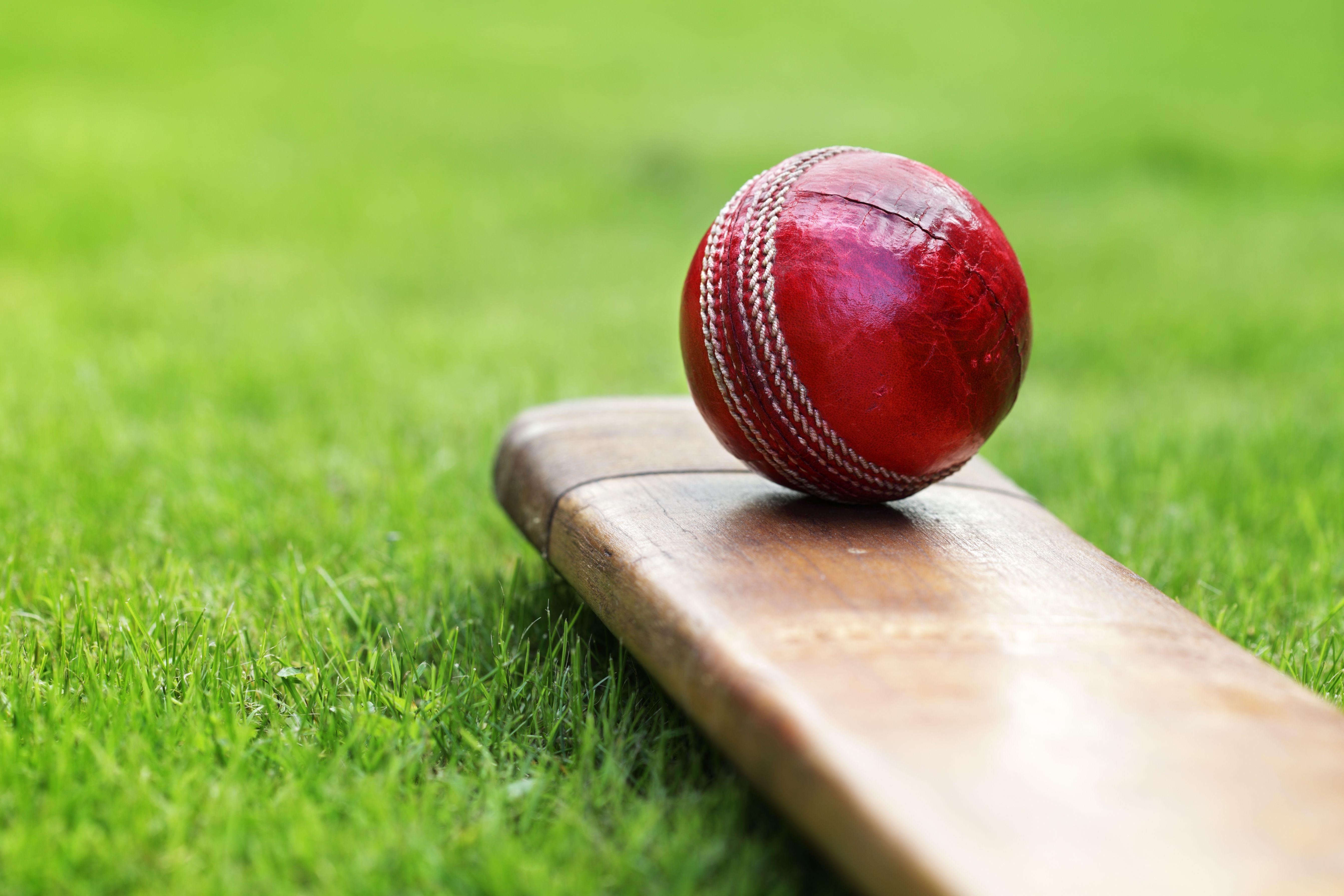 235 Cricket Black Background Stock Photos, High-Res Pictures, and Images -  Getty Images