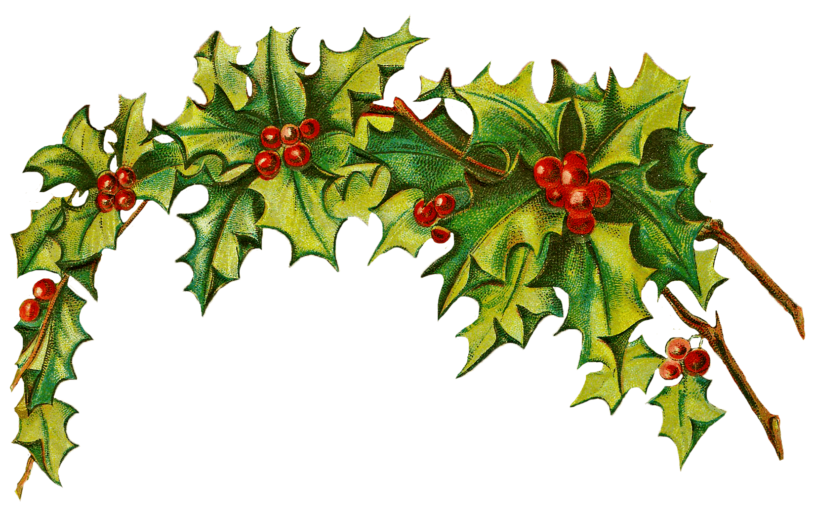 christmas holly background wallpaper