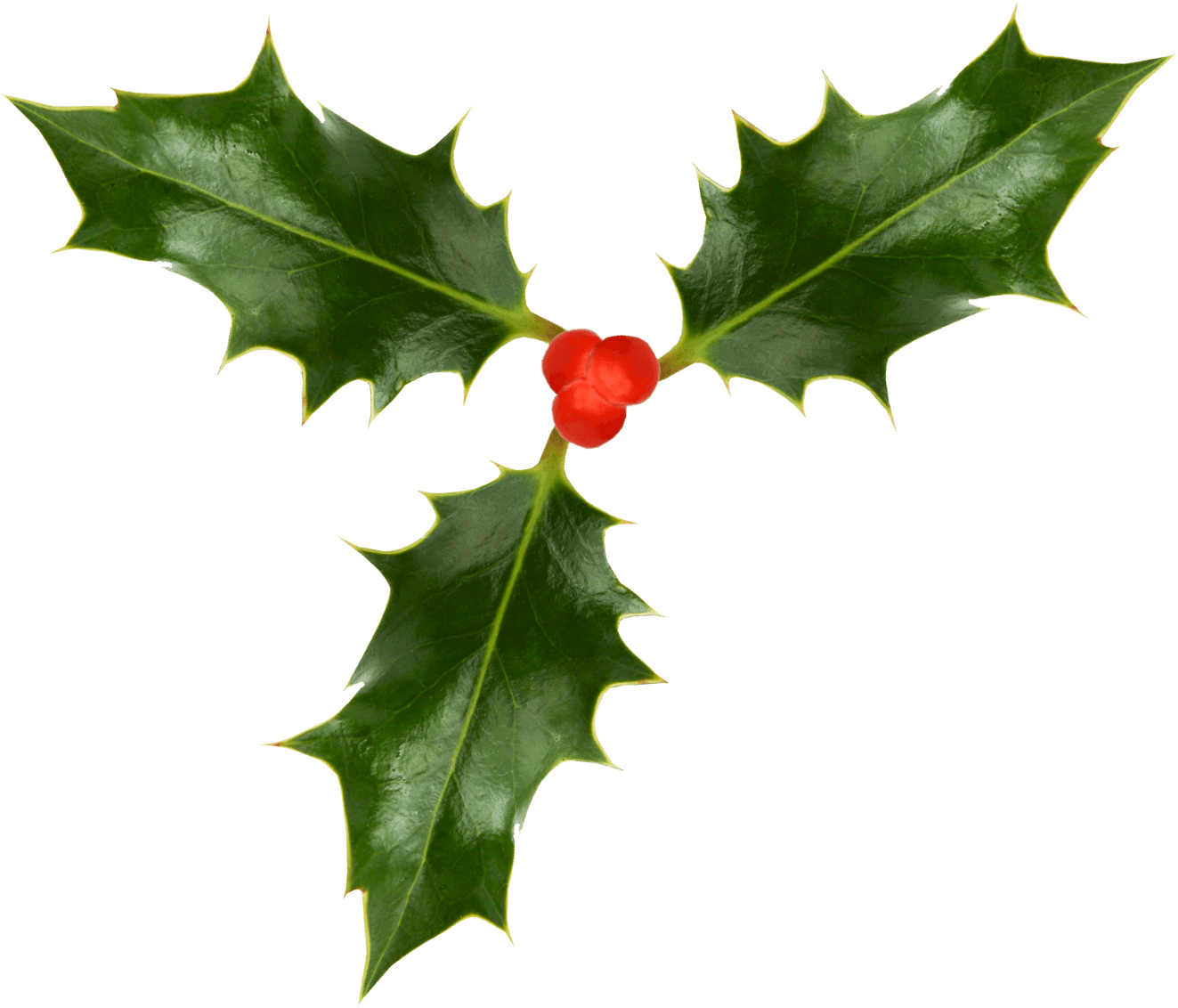 Christmas Holly Image. Full Desktop Background