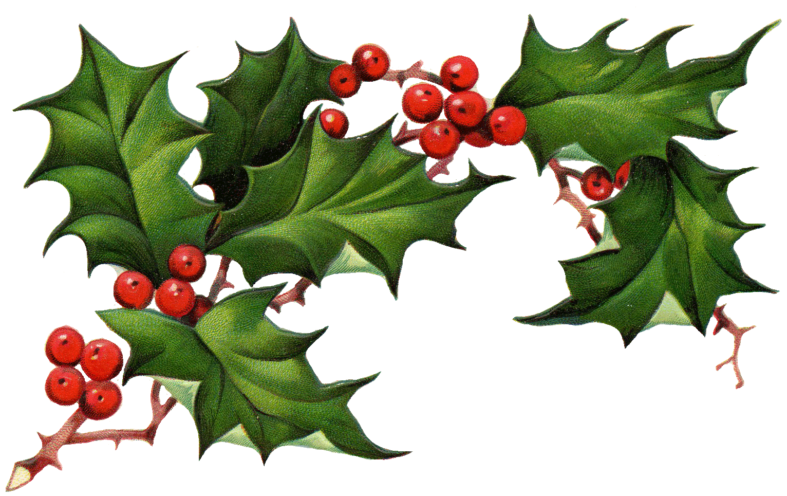 Download Christmas Holly Wallpapers - Wallpaper Cave