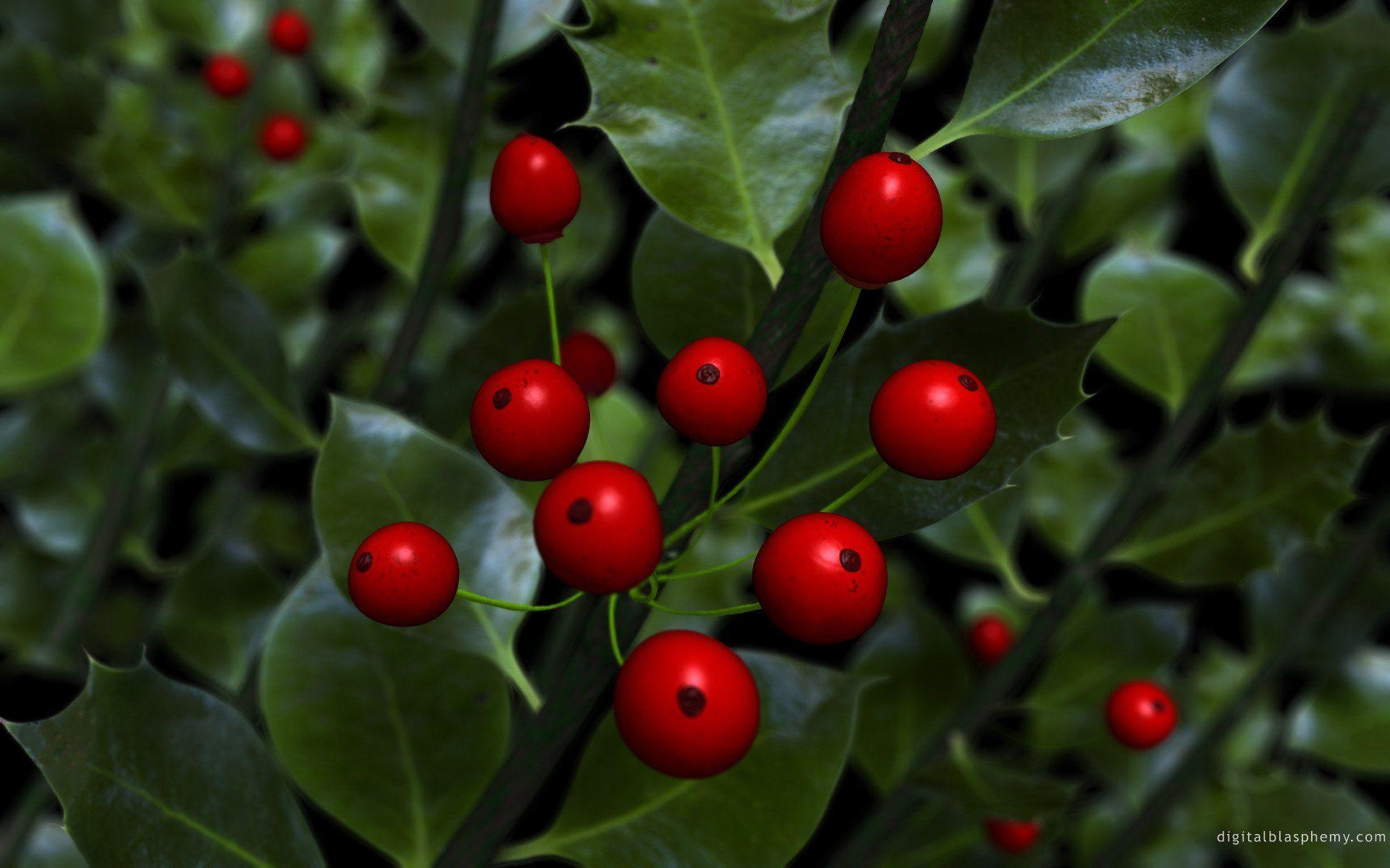 Christmas Holly Wallpapers - Wallpaper Cave