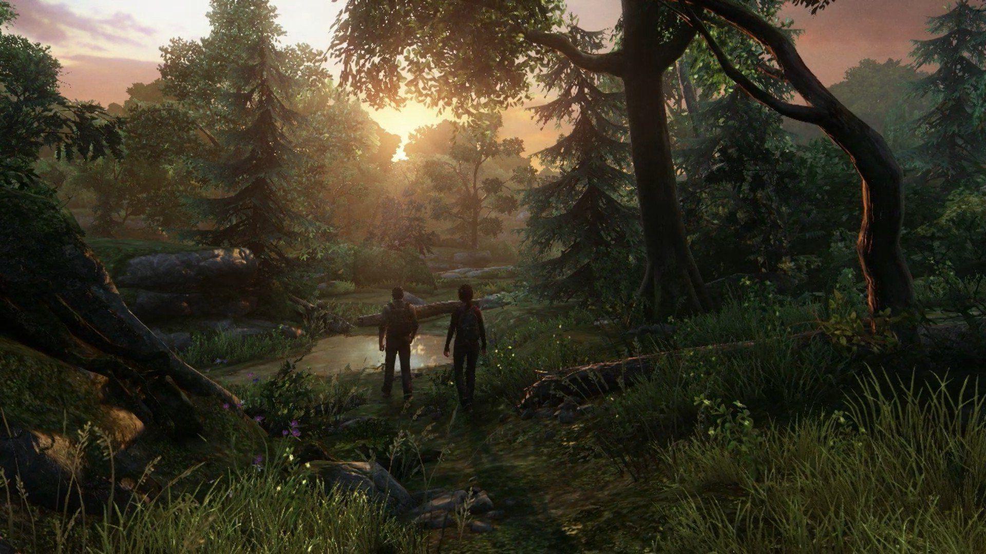 Background wallpaper of the last of us scenery