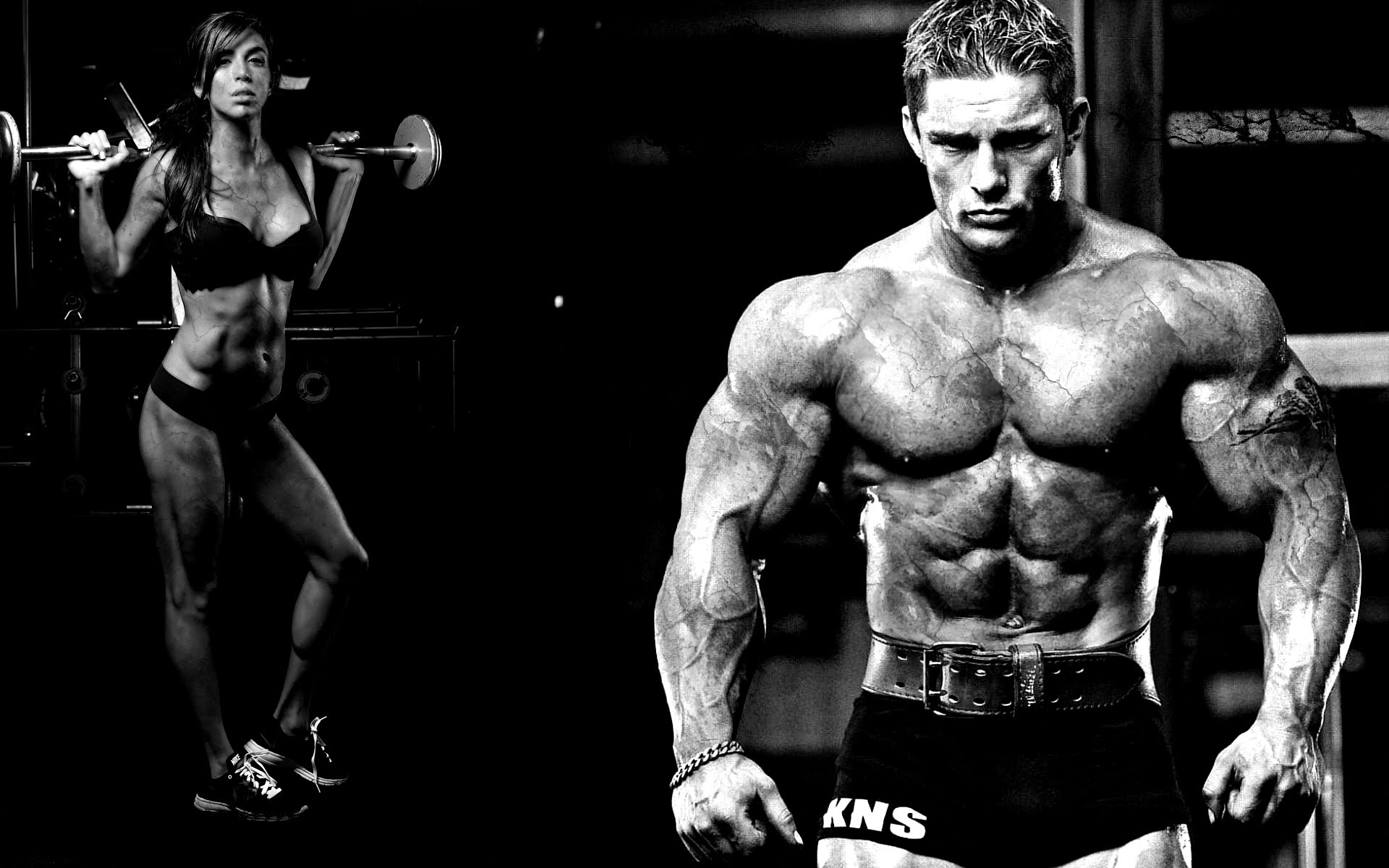 Bodybuilding Wallpaper HD 2015 97623