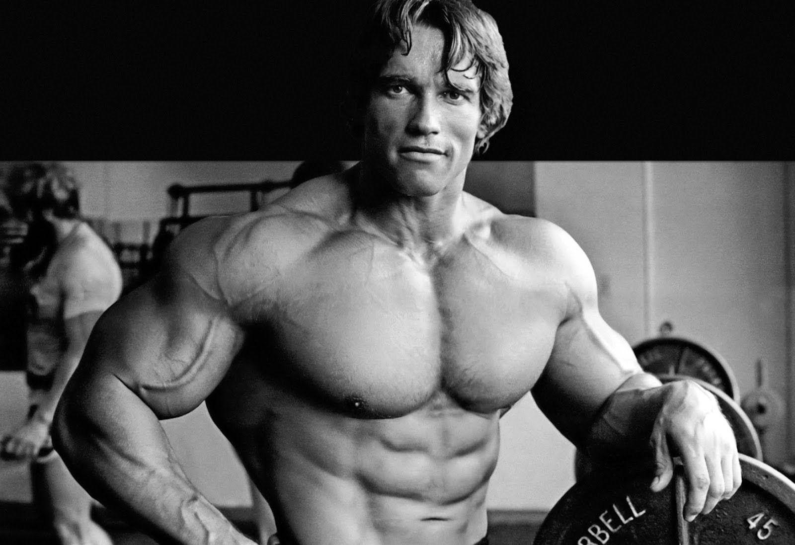 Arnold Schwarzenegger Now 2015