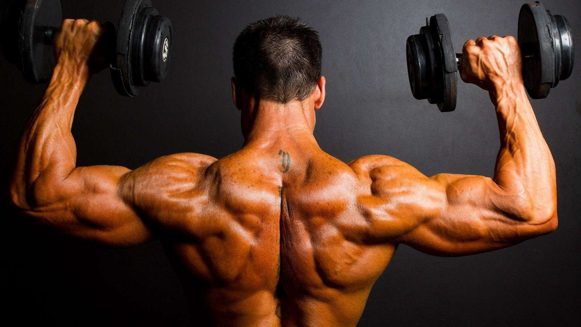 Bodybuilding Wallpaper HD Best Collection Free Download