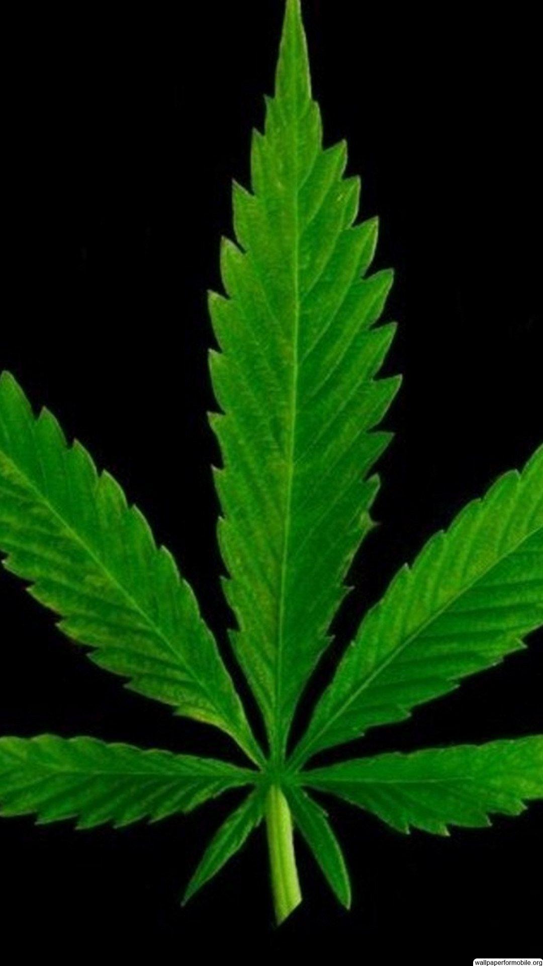 Ganja Leaf Wallpaper Free Download. Wallpaper for Mobile