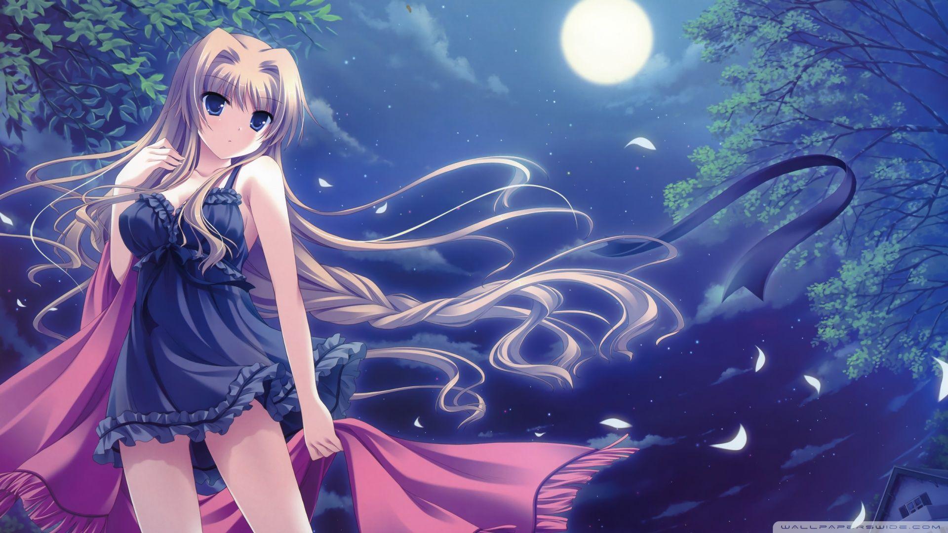 2560x1600px, free download, HD wallpaper: Windows XP, anime girls, park,  night, girlfriend