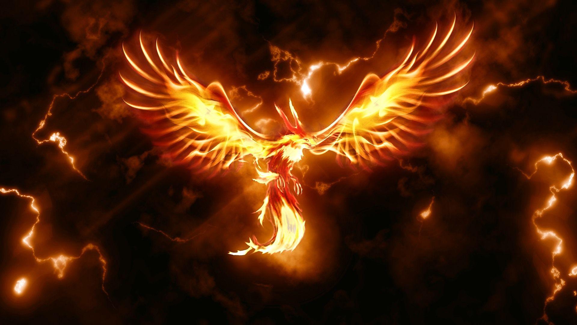 moltres wallpaper  Moltres pokemon, Pokemon, Pokémon species