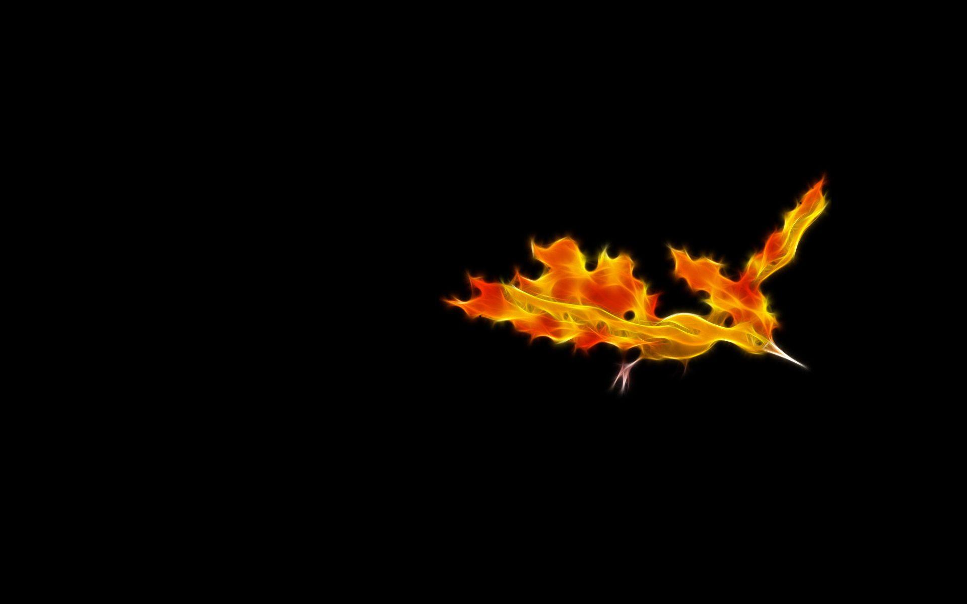 Moltres (Pokemon) Fondos de pantalla HD. Fondos de Escritorio
