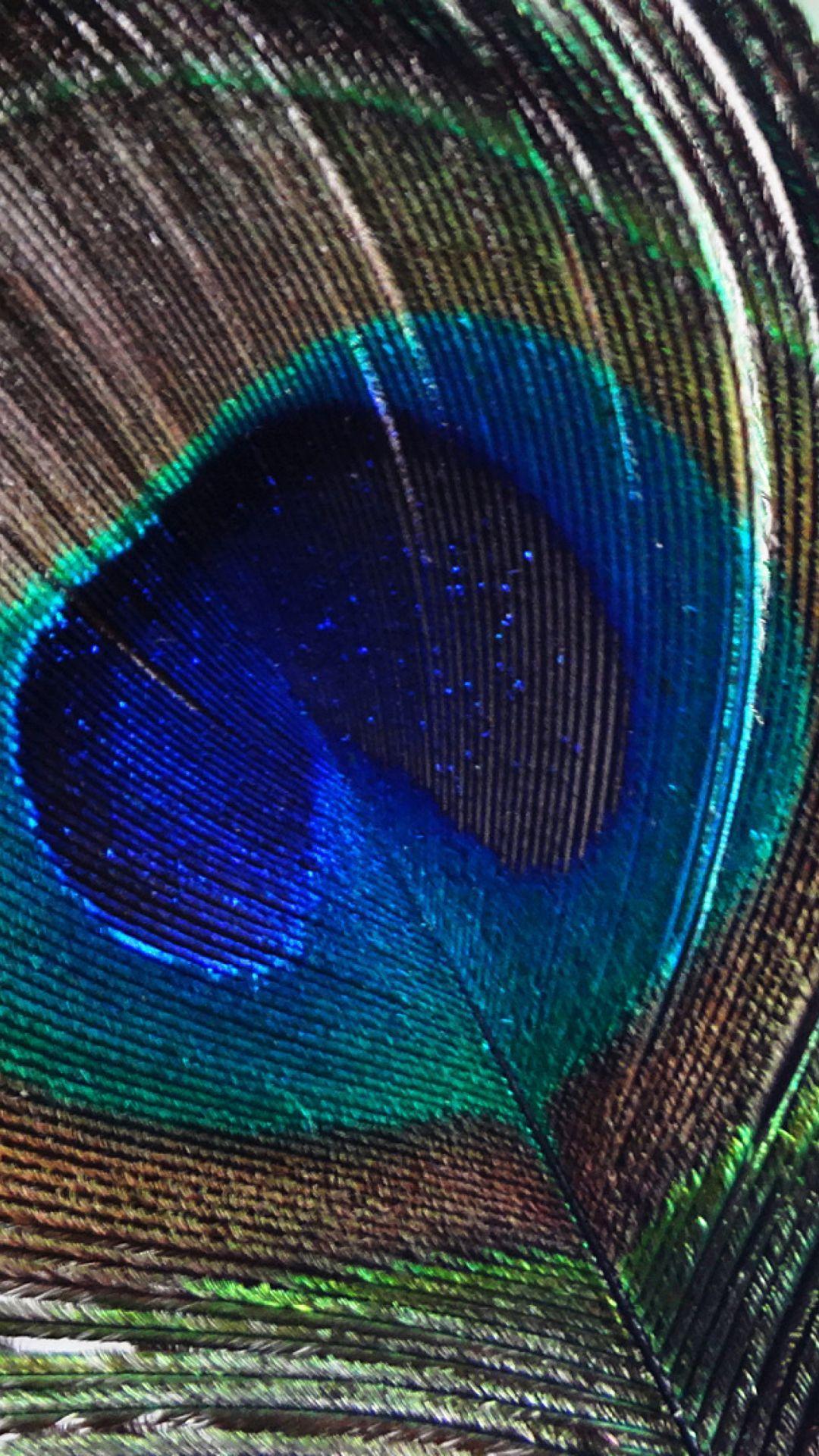 Peacock Feather Wallpapers for 1080x1920