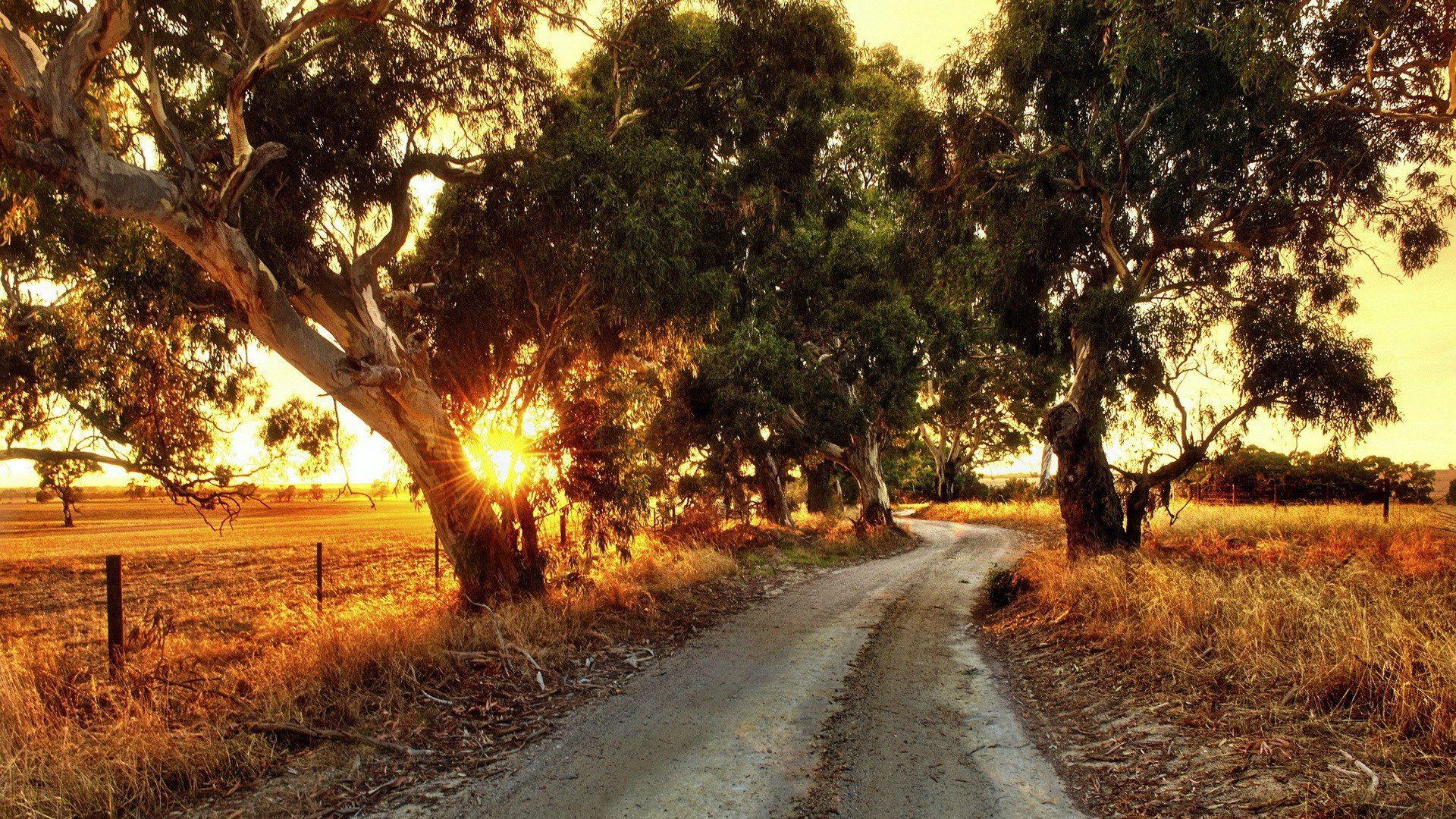 Rural road in Australia wallpaper and image