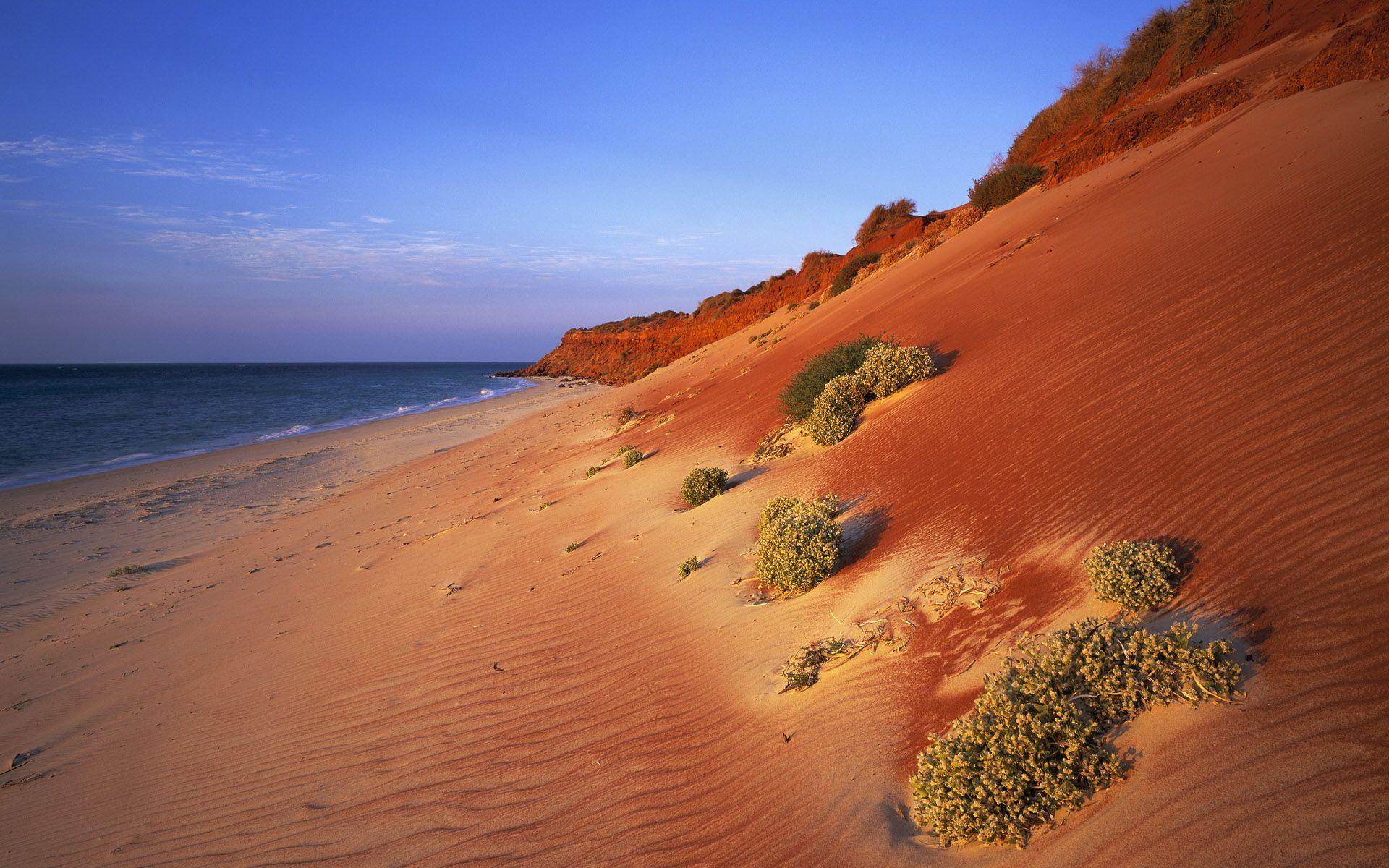 The sandy coast of Australia wallpaper and image