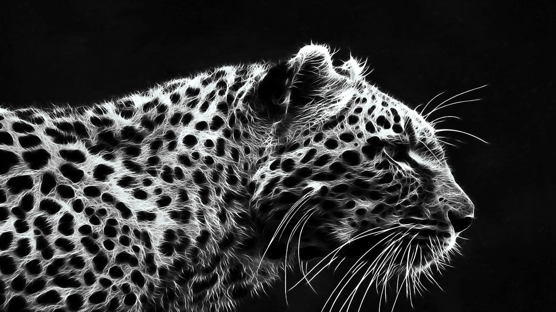 White Jaguar Wallpaper