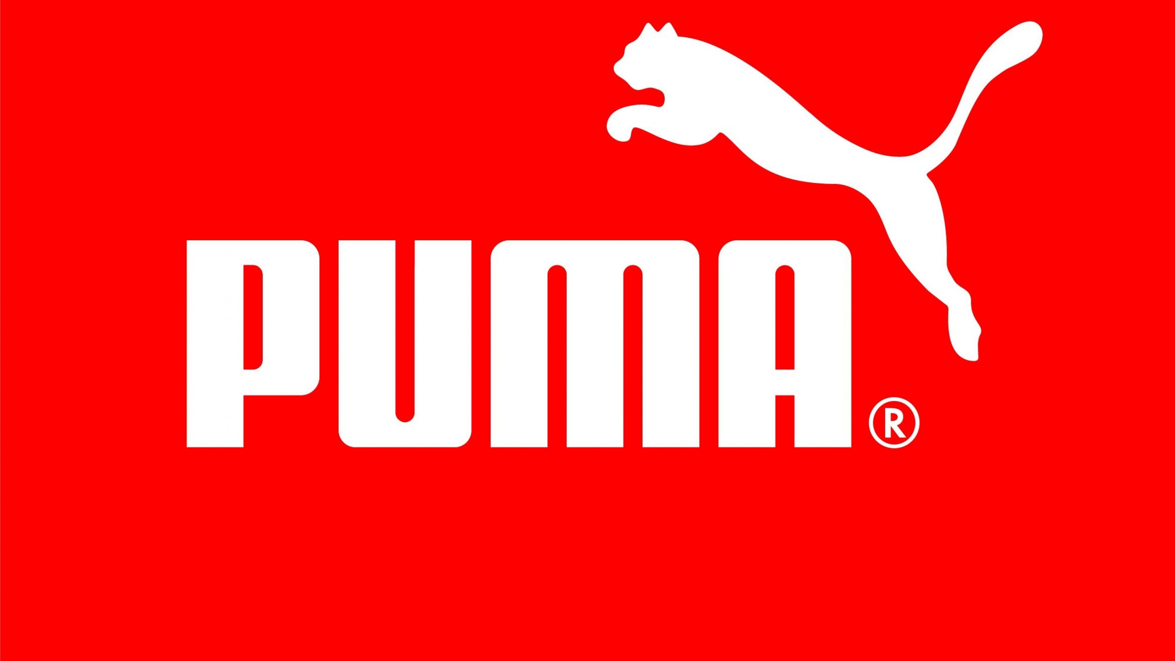 4K Ultra HD Puma Wallpaper HD, Desktop Background 3840x2160