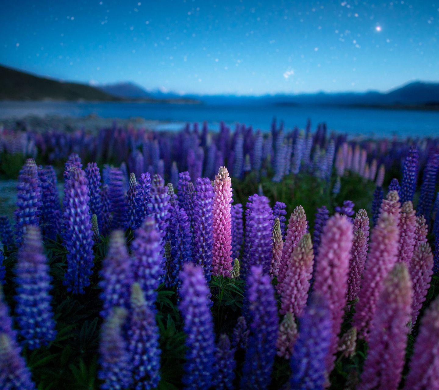 Download: DROID ULTRA Wallpaper