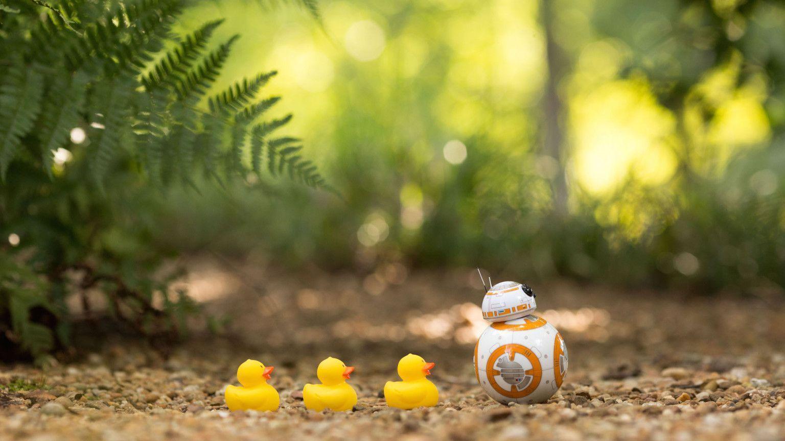 BB8 With Ducks wallpaper HD 2016 in Star Wars