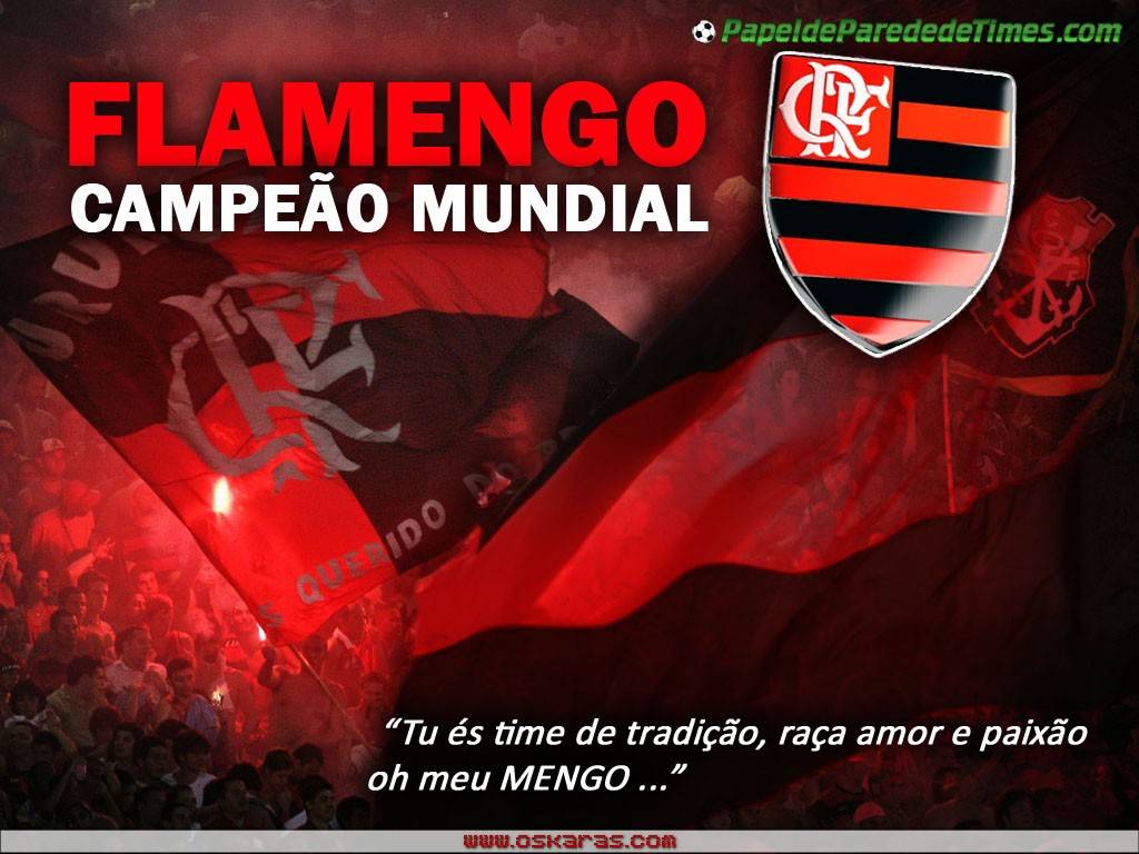 Papel de parede flamengo fotos exclusivas