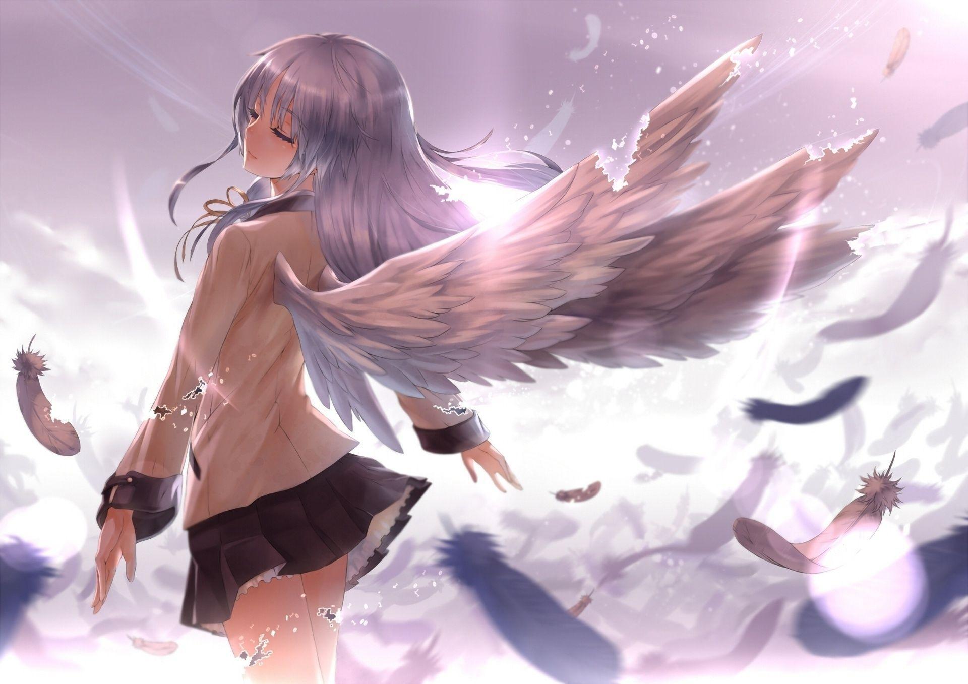 300+ Anime Angel HD Wallpapers and Backgrounds