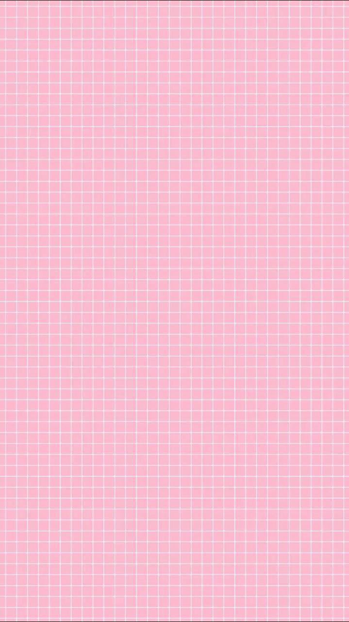 Pink Aesthetic Background Portrait
