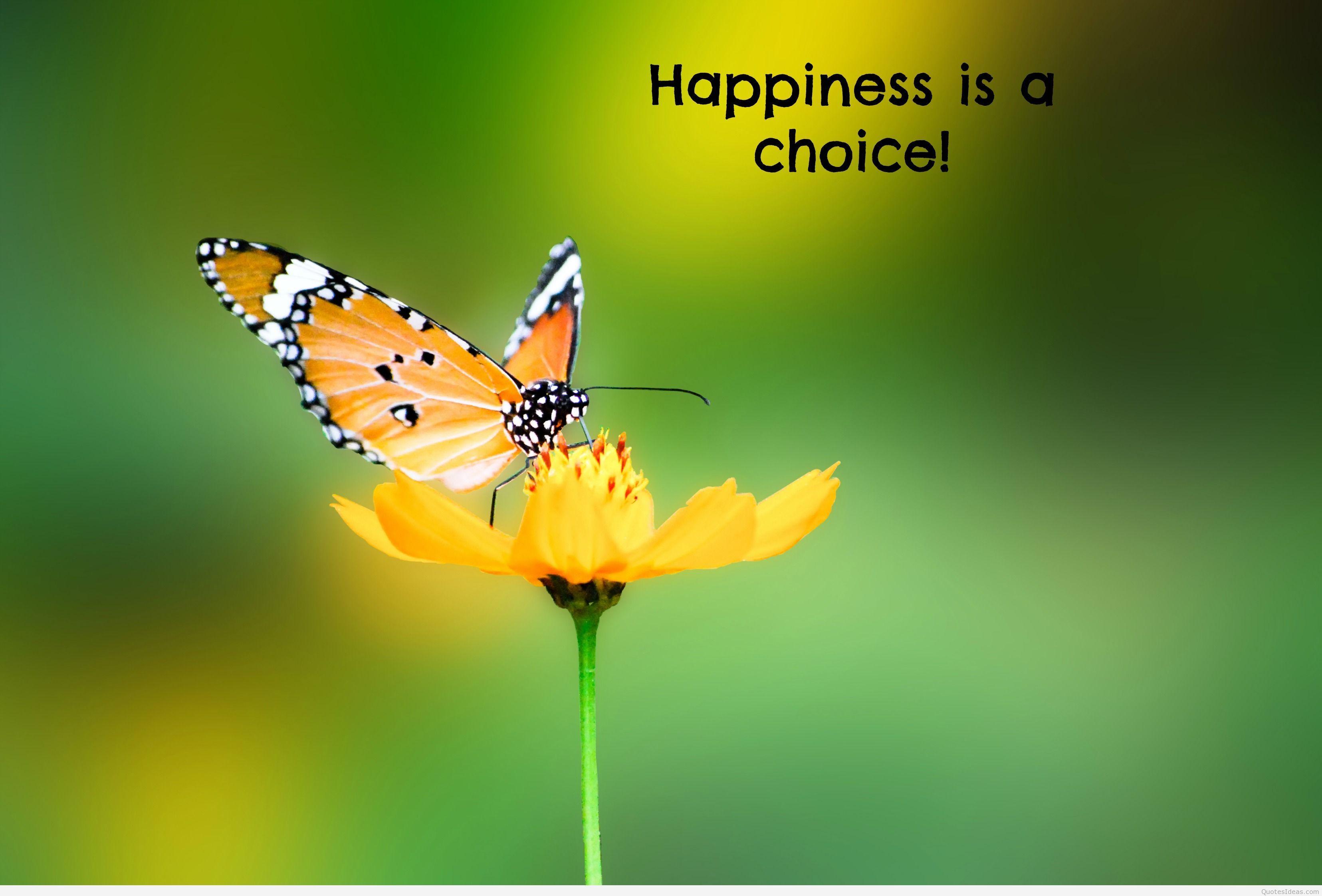 Happiness quotes background and image 2015 2016