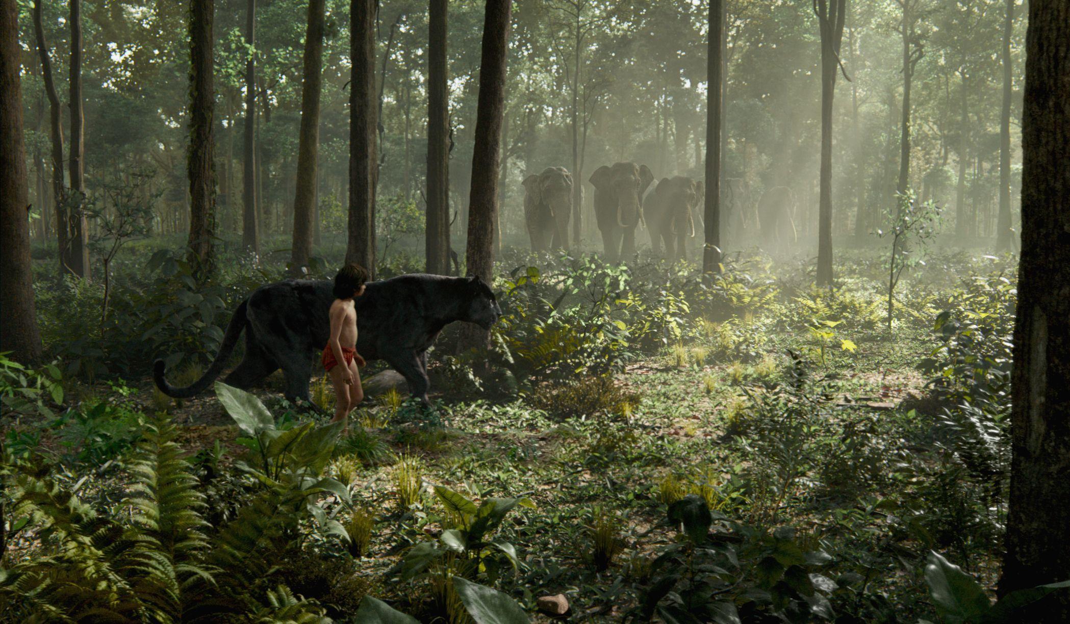 The Jungle Book Movie Bagheera wallpaper HD 2016 in Movies