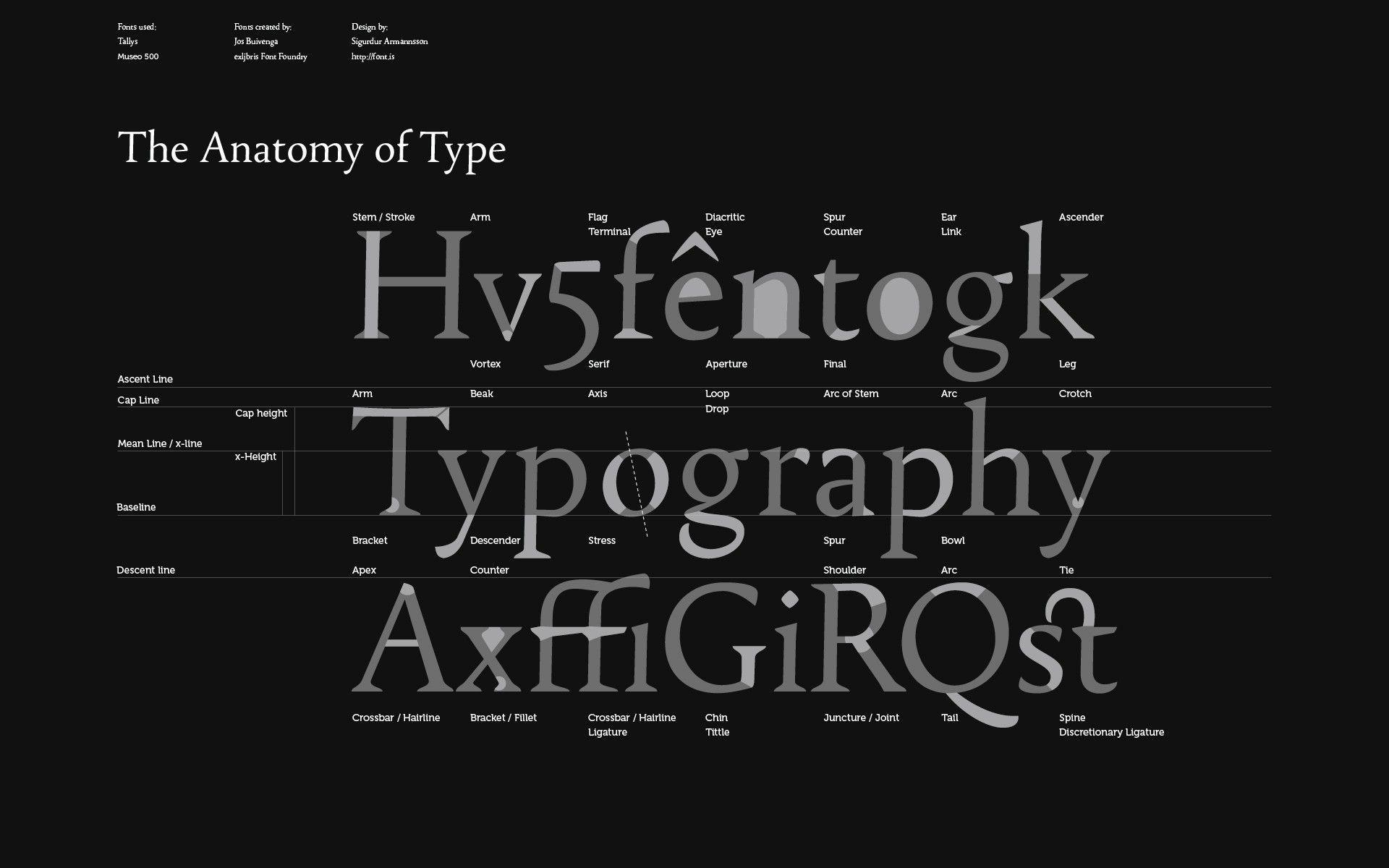 typography font typefaces type anatomy #o_W8
