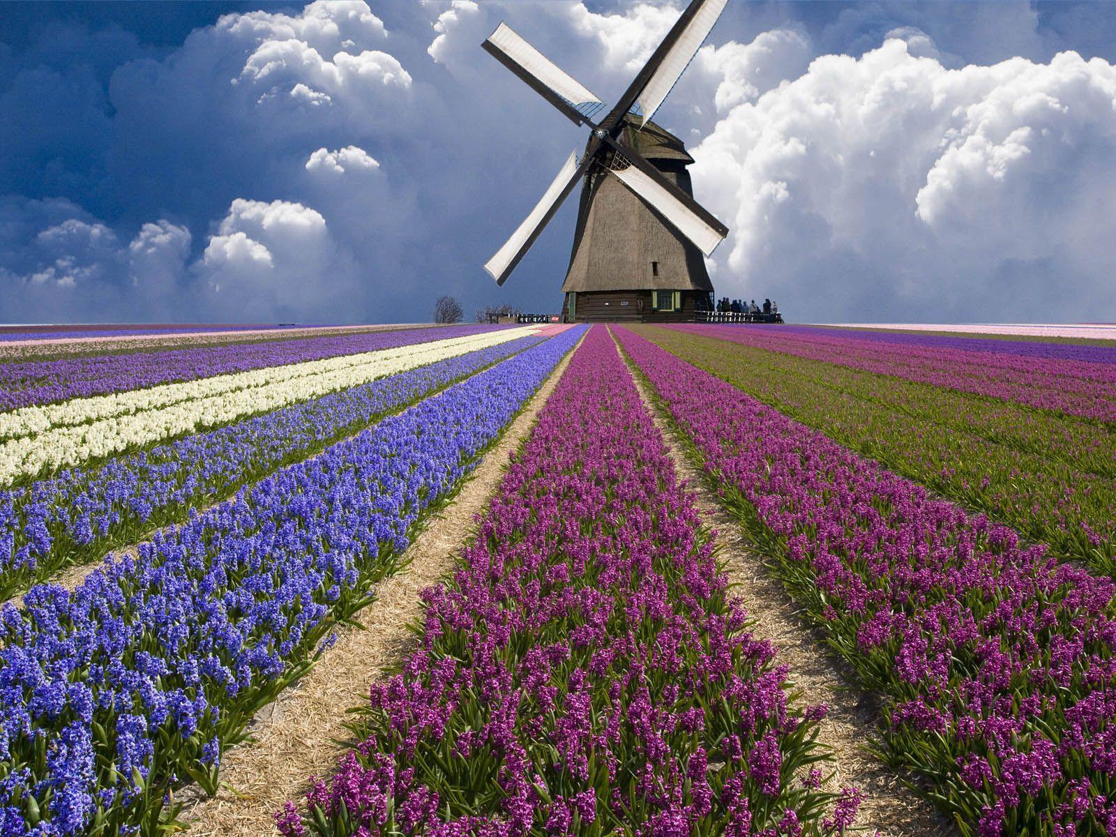 The best of the best wallpaper of the Netherlands