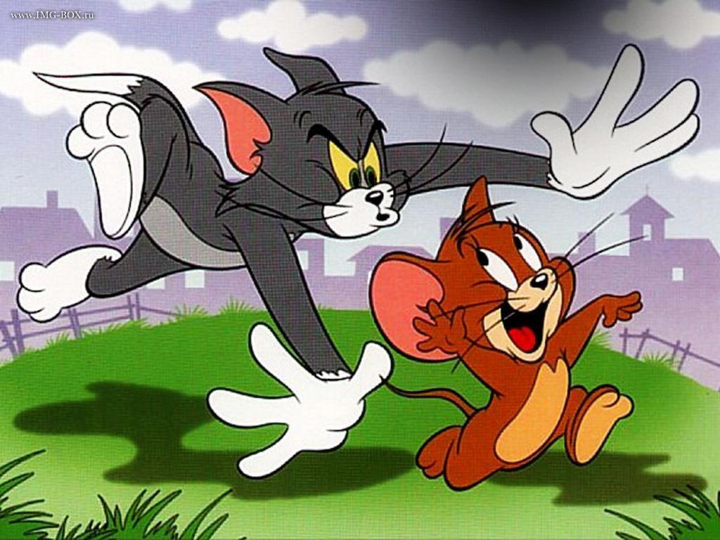Tom and Jerry free Wallpapers