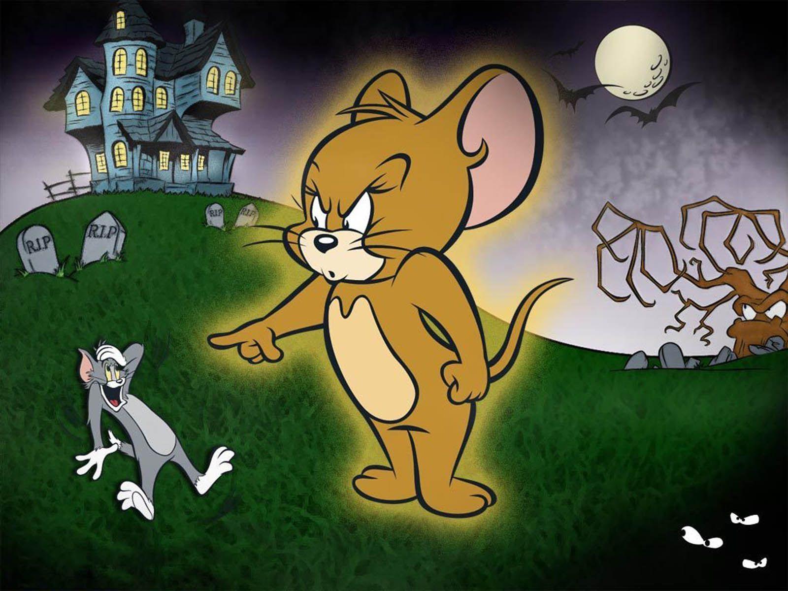 Lovely Wallpaper of Funny Characters Tom & JerryPhotography