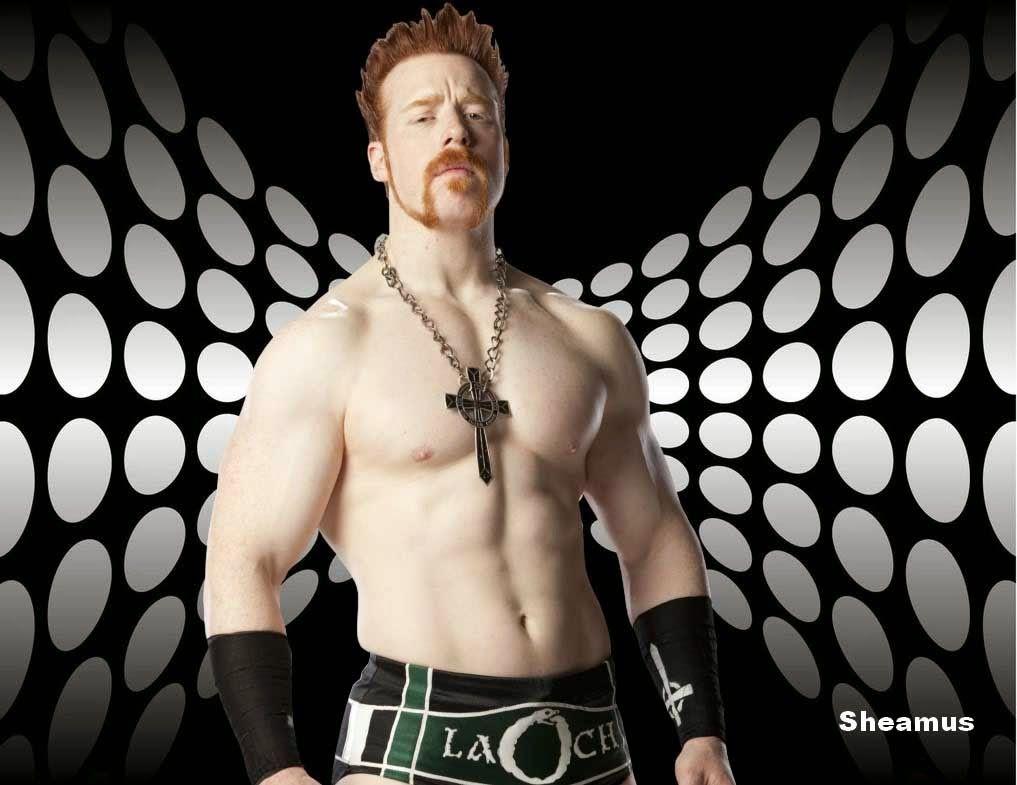 2015-Now: Sheamus 5th and NEW WWE Theme Song - 