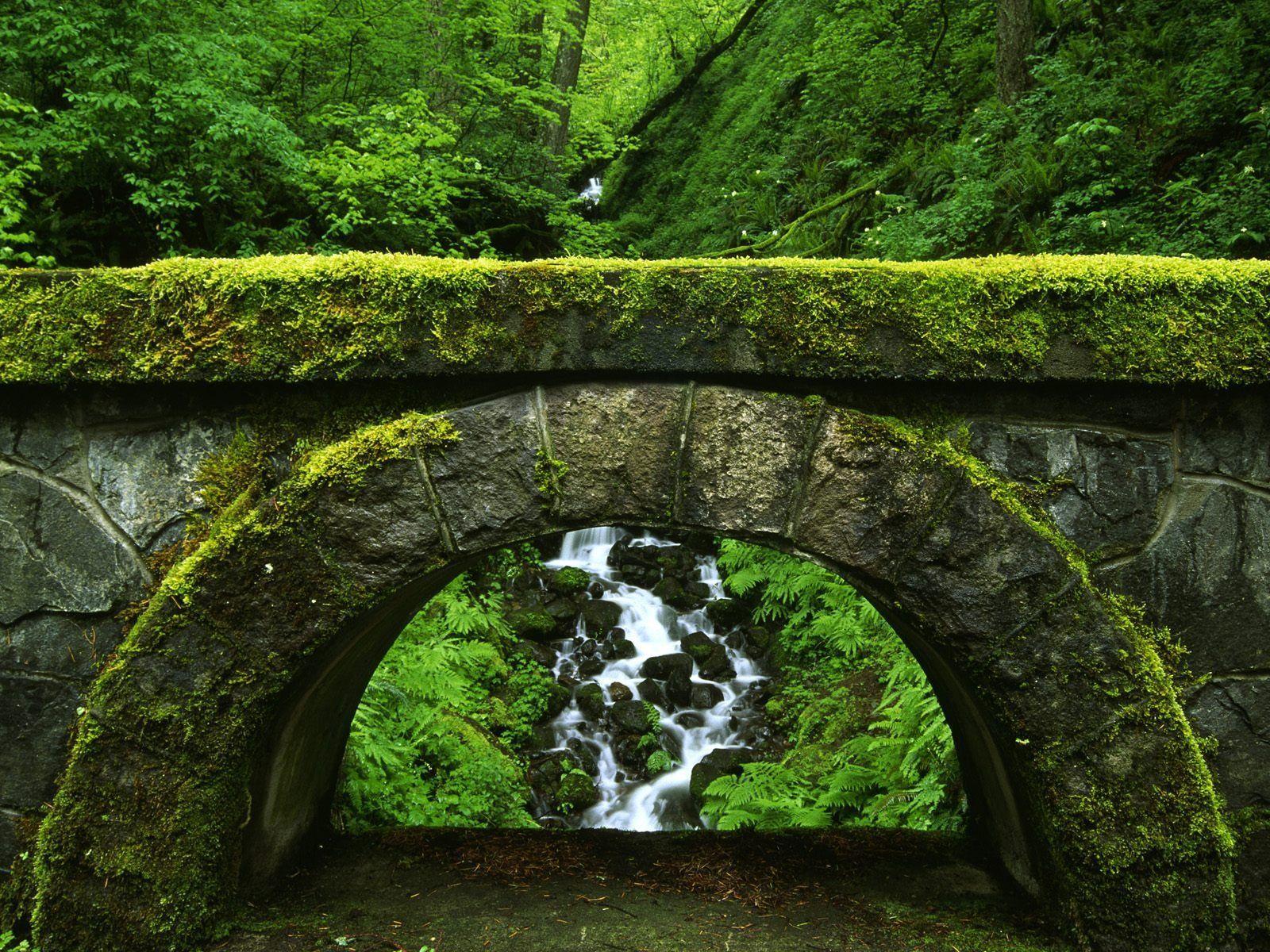 Old Bridge Wallpaper Rivers Nature Wallpaper in jpg format for free
