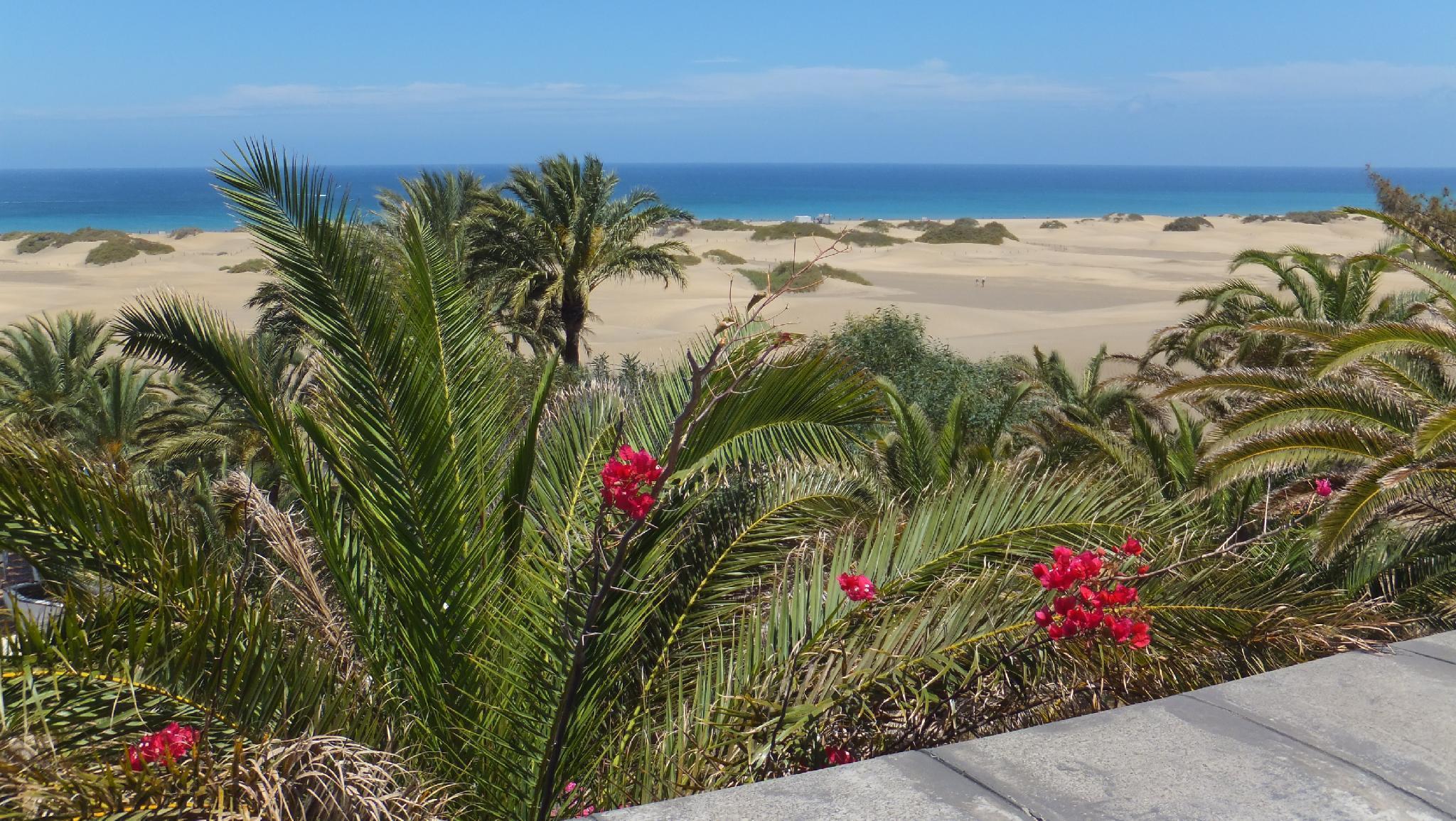 Wallpaper. Free Wallpaper background. Free Wallpaper download