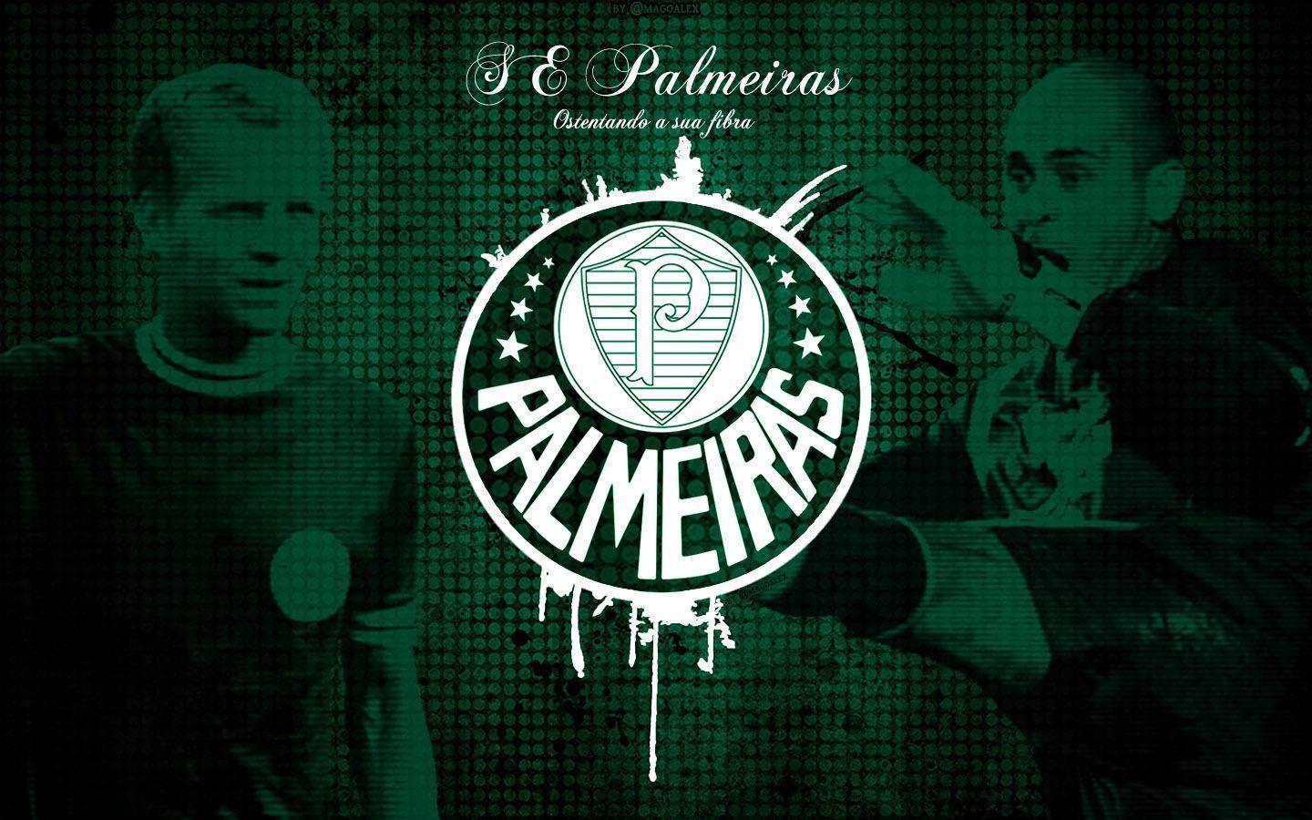 Wallpaper Palmeiras HD