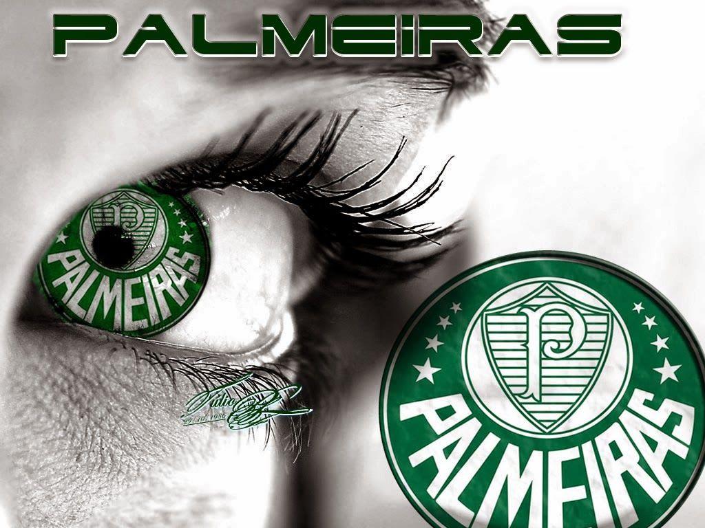 Palmeiras HD Wallpaper HD Wallpaper For You. HD