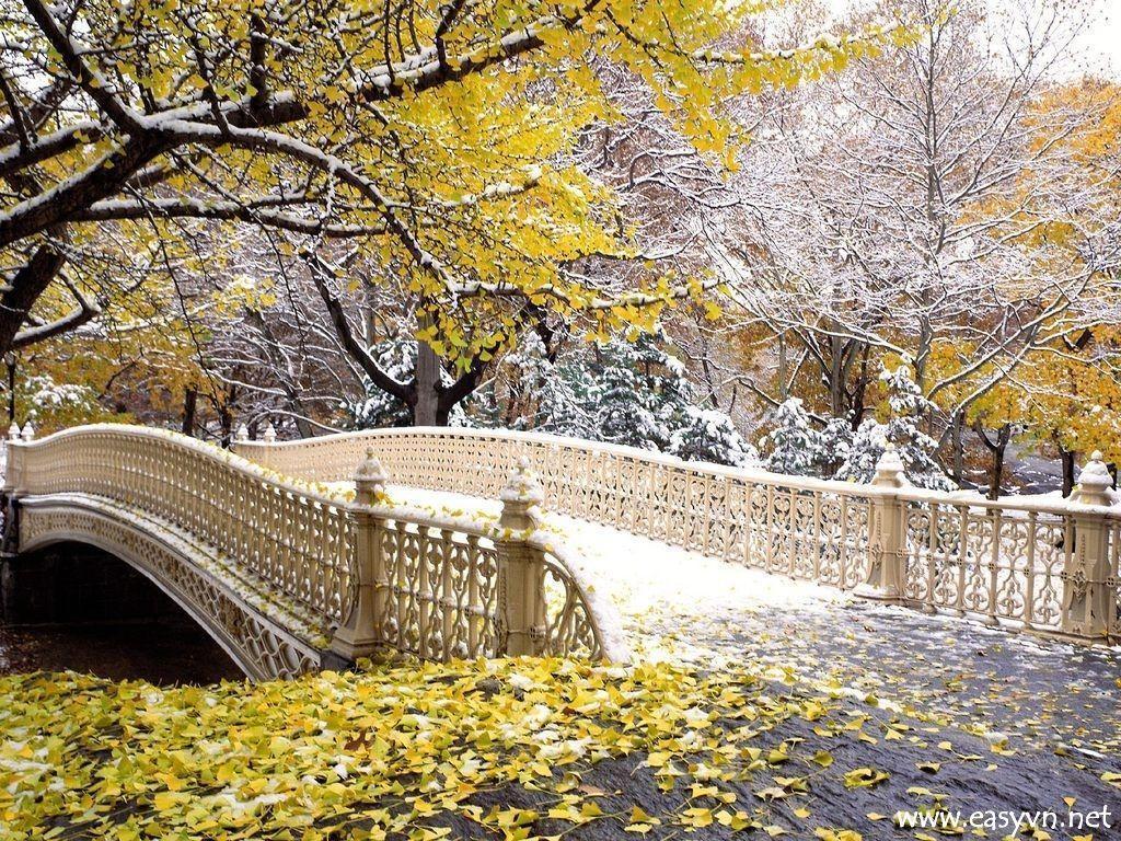Download Free Beautiful Bridges Wallpaper. Most beautiful places