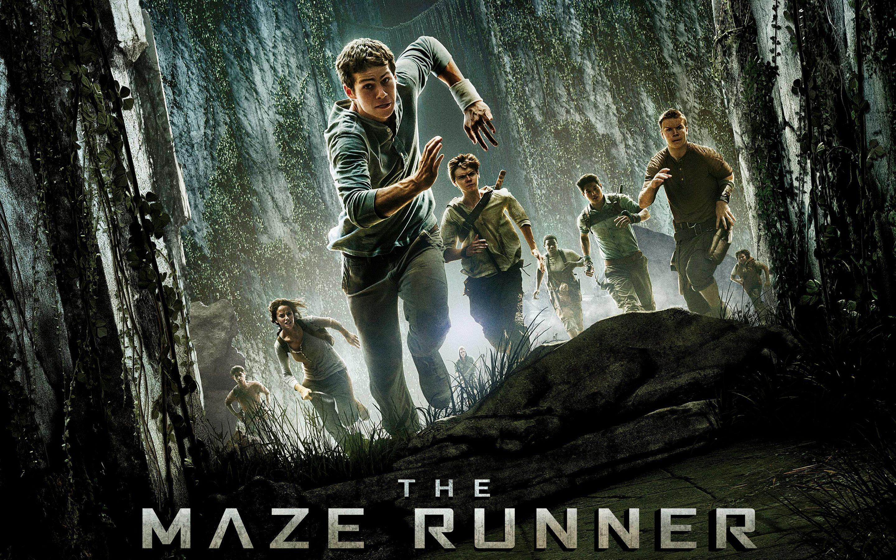 Tons of awesome Maze Runner wallpapers to download for free. 