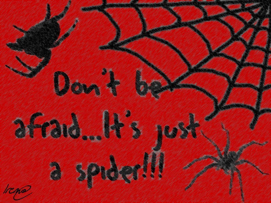 Spiders wallpaper