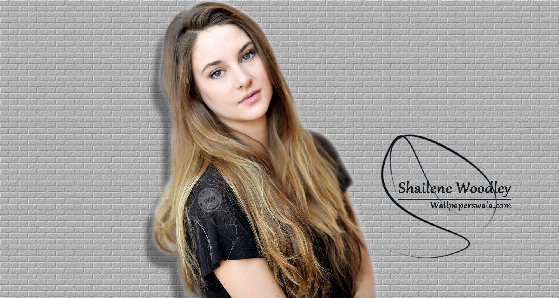 Shailene Woodley Divergent Wallpaper 58361