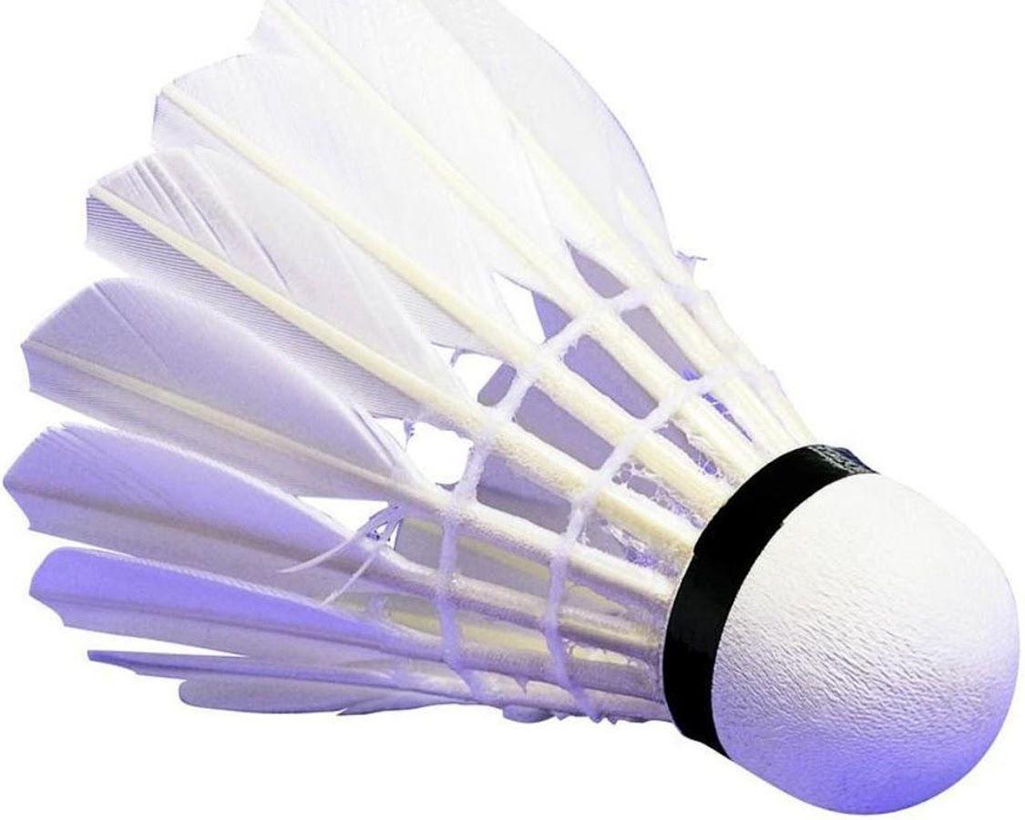 Badminton Wallpaper Apps on Google Play