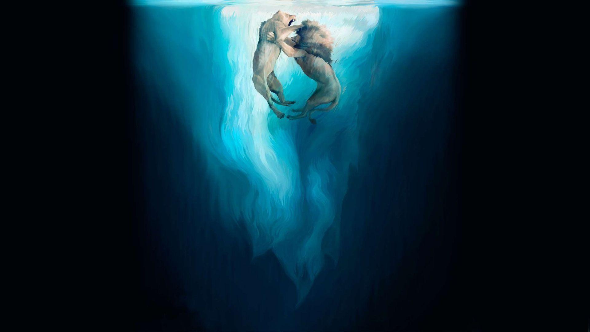 Lion Fight HD Foxy Wallpaper Free Lion Fight HD Foxy