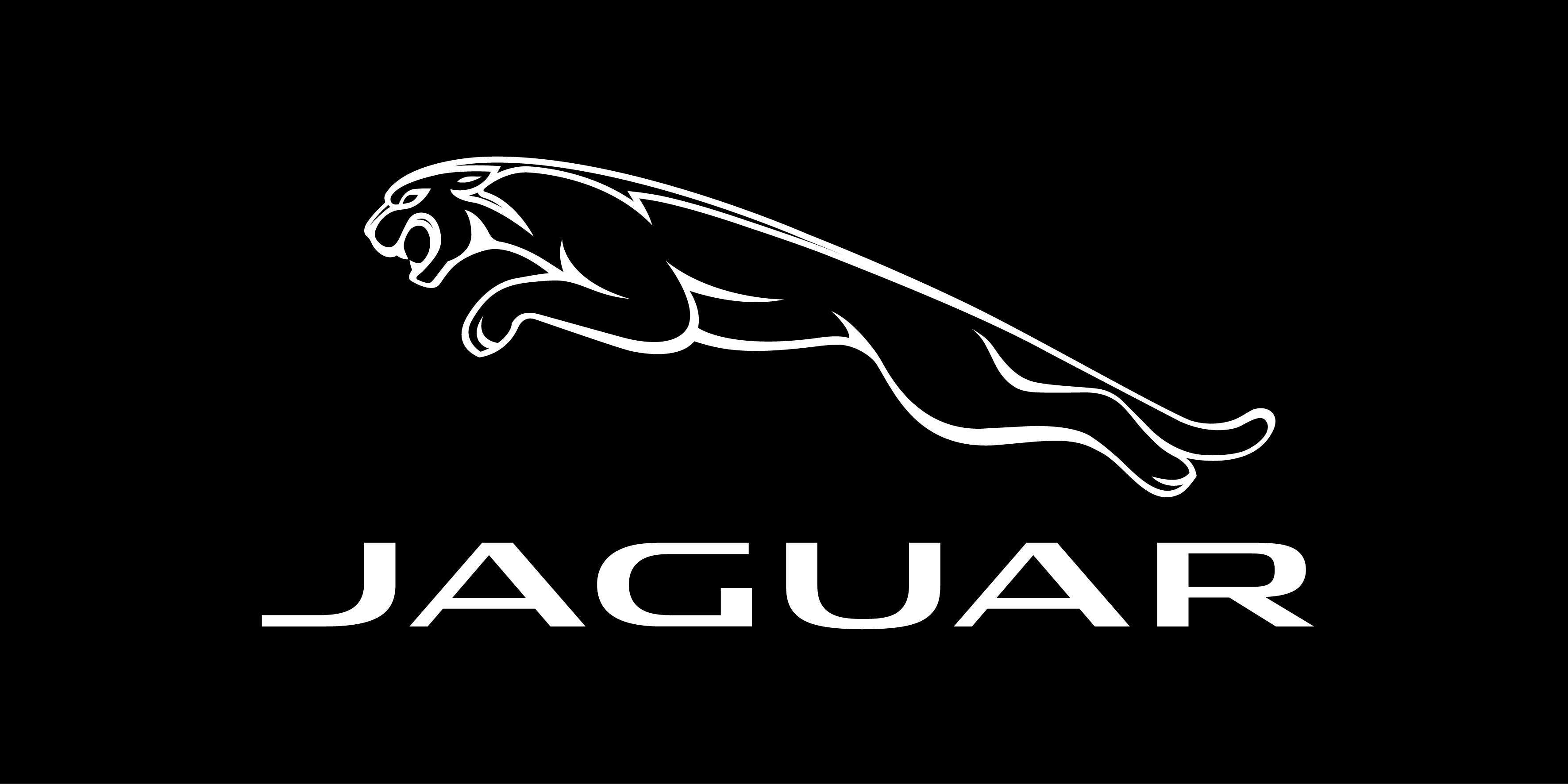 Jaguar Logo Wallpapers Wallpaper Cave